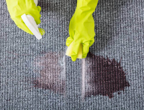7 Best Carpet Stain Remover of 2022