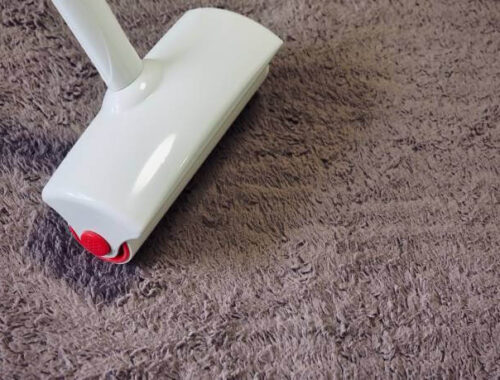 7 Best Carpet Sweepers of 2022